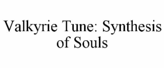 valkyrie tune: synthesis of souls