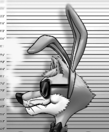 2'0" 11'6" 11'0" 0'6" o'o 9'6" 9'0" 8'6" 8'0" 7'6" 7'0" 6'6" 6'0" 5'6" 5'0" 4'6"