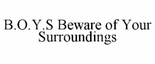 b.o.y.s beware of your surroundings