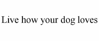 live how your dog loves