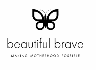 beautiful brave making motherhood possible