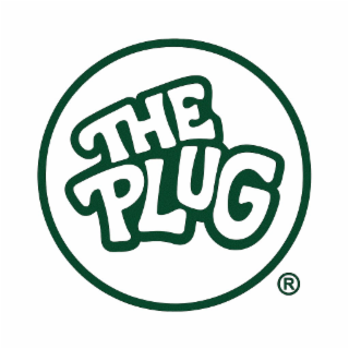 the plug