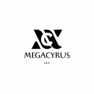 megacyrus llc