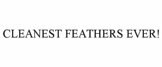 cleanest feathers ever!