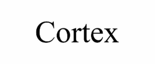 cortex