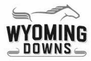 wyoming downs