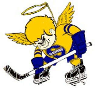 st. paul fighting saints