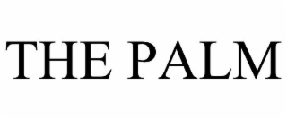 the palm