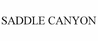 saddle canyon