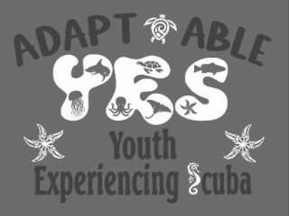 adapt able yes youth experiencing scuba