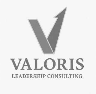 valoris leadership consulting