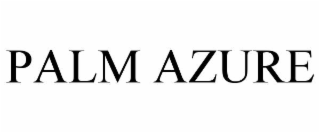 palm azure