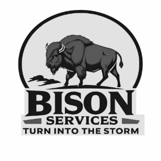 bison services turn into the storm