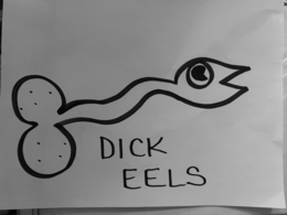 dick eels