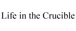 life in the crucible