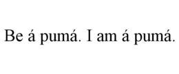be Á pumÁ. i am Á pumÁ.