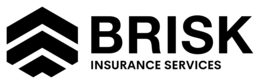 brisk insurance services