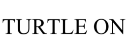 turtle on