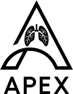 a apex