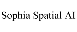 sophia spatial ai