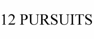 12 pursuits