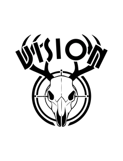 vision