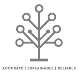 accurate i explainable i reliable