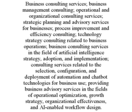 business consulting services; business management consulting; operational and organizational consulting services; strategic planning and advisory services for businesses; process improvement and efficiency consulting; technology strategy consulting relate