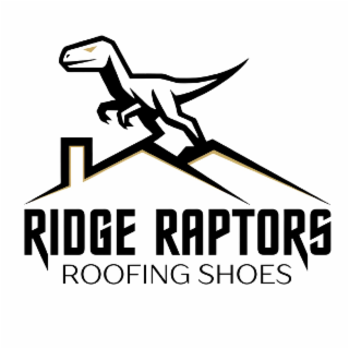 ridge raptors roofing shoes