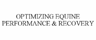 optimizing equine performance & recovery
