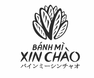 banh mi xin chao