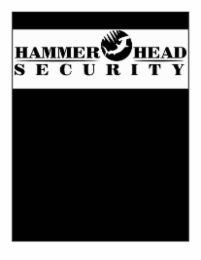 hammer head security