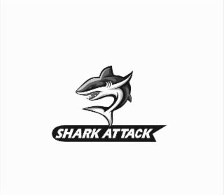 shark attack