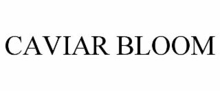 caviar bloom