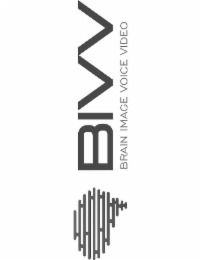 bivv brain image voice video