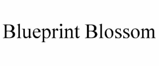 blueprint blossom