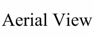 aerial view