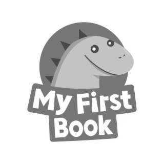 my first book