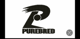 purebred