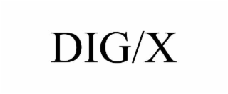 dig/x