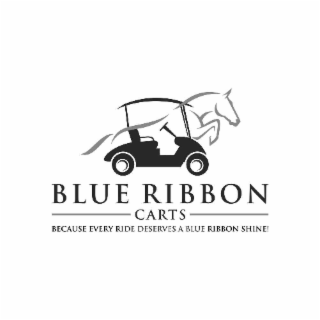 blue ribbon carts. because every ride deserves a blue ribbon shine!
