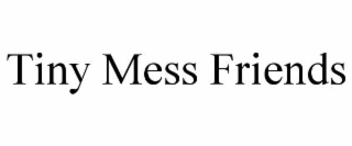 tiny mess friends