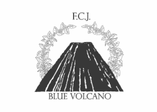 f.c.j. blue volcano
