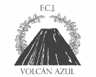 f.c.j. volcÁn azul