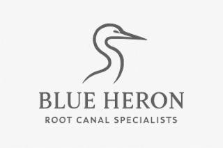 blue heron root canal specialists