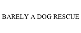 barely a dog rescue