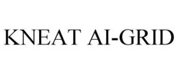 kneat ai-grid
