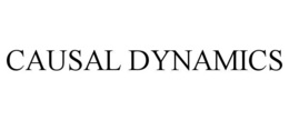 causal dynamics