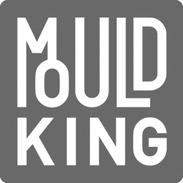 mould king