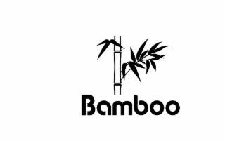 bamboo